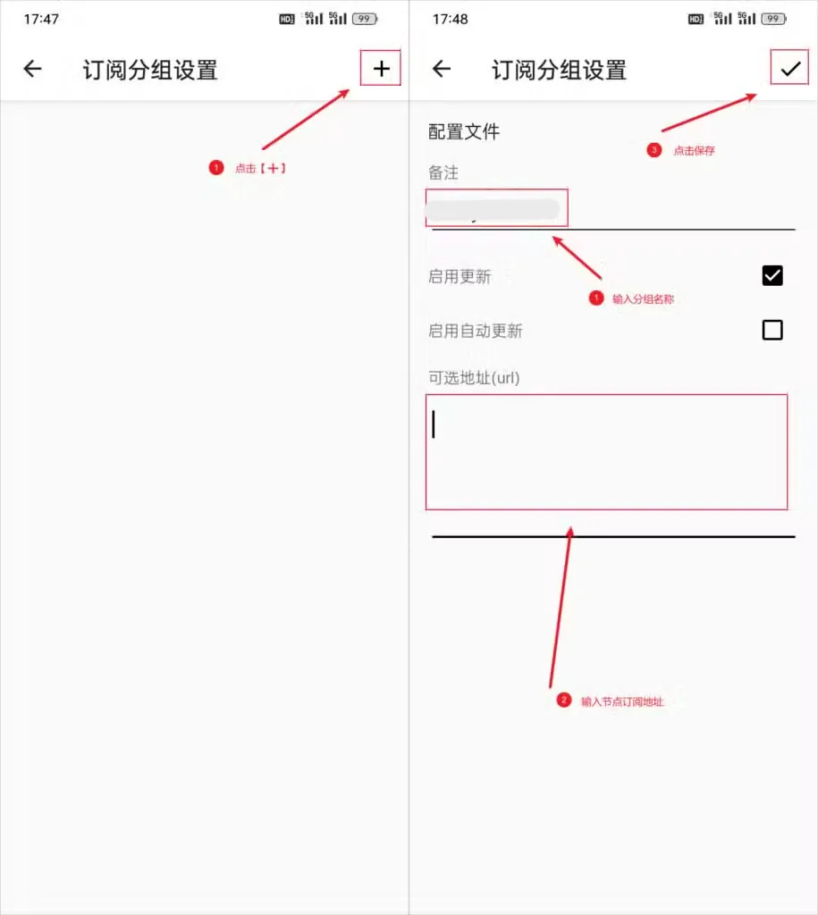 v2rayNG 填写分组与订阅 URL